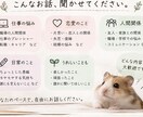 星屑の書斎で、ゆっくりお話しします 「ちょっと聞いてほしい」を星屑の書斎でゆっくりお聞きします。 イメージ2