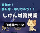 あん摩、鍼灸の国試勉強をサポート(３時間)します 鍼灸学校での教員経験を活かし、専門的な授業を易しく！ イメージ1