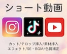 高品質なショート動画を編集します TikTok、Instagram、Youtube等 イメージ1