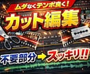 見やすいカット編集いたします わかりやすく、ストレスのないテンポを意識したカットをします！ イメージ1