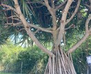 今ある心のモヤモヤ、メンタルブロックの解消をします 波動を良くして、よりよい方向に向けるお手伝いをします イメージ1