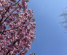 期間限定特別価格/自分を再発見するお手伝いをします コーチングで自分を再発見して、転職や新たな行動に！ イメージ1