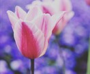 40代以上女性限定! 本音、聞きます 女性の方で家族・夫婦・恋愛・寂しさ。ここで話してみませんか？ イメージ5