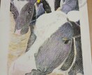 大切なペットを色鉛筆で描きます 家族を、絵として飾ってみませんか？ イメージ4