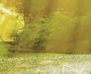 職場の対人関係·人間関係のお悩み◆占います 職場の対人関係でお悩みの時。鑑定とお話のお聴き。 イメージ4