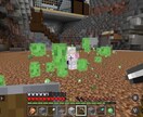 Minecraft初心者の方に操作方法など教えます 男性に教わるのは怖いという方や優しく教えてもらい方へおすすめ イメージ2