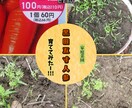 あなたの生活を豊かにするノウハウ教えます あなたの生活をもっと楽しくしませんか？ イメージ3