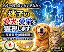 迷子の愛犬・愛猫を霊視します 現在の状況や居場所の手がかりを読み解きます イメージ1