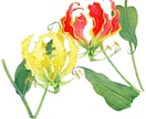 商用◎手描き水彩で心惹かれる花のイラストを描きます カラーラフ修正無制限、ヒアリングが得意です。構図から提案も可 イメージ10