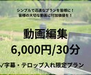 YouTube・PR動画に！！テロップ字幕入れます シンプルで迅速なプランを皆様に！大切な動画に付加価値を！ イメージ1