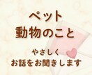 ペット・動物への想いをやさしくお聞きします ペット（ロス）・野良・保護活動・家畜（）動物への想い イメージ1