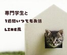 専門学生が1週間あなたとお話します 頑張るあなたの息抜きの場所に( *´꒳`*) イメージ1