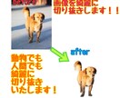 画像切り抜きをしたい写真などを切り抜きいたします 動物や人物の写真を切り抜きいたします今なら文字入れも無料 イメージ1