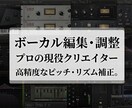 現役のプロがボーカルの編集・修正承ります ピッチ修正・エフェクト加工など気軽にご相談ください！ イメージ1
