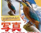写真の切り抜き・色調補正・背景変更 致します 丁寧にかつスピーディーにご対応！お気軽にご連絡ください！ イメージ1