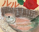 愛鳥さんを水彩絵の具で【ミニ色紙】に描きます 鳥さんの誕生日・記念日にちなんだお花を添えて水彩画を描きます イメージ7