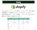 Shopify_低コストであなたのお店を作ります ShopifyでECサイトを破格の安さで制作します。 イメージ6