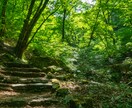 東京の山（高尾・奥多摩）の風景写真を撮影代行します 美しい風景や花の写真を提供！商用利用可・RAW現像サービス付 イメージ3