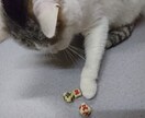 命理と易占(周易)であなたの恋の行方を占います 片想い.恋愛.不倫.離婚問題…男女の問題なら何でもどうぞ！ イメージ1