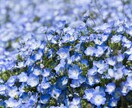 彼と復縁できる？彼の気持ちを直感タロットで視ます 当日返信♡個人情報不要♥️彼と復縁したいあなたに寄り添います イメージ4