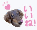 写真を送るだけ★LINEスタンプ作ります あなたの大切な家族のお写真で♡オリジナルLINEスタンプ！ イメージ4