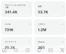 Twitter 日本人フォロワー500人増加します X・旧Twitter 日本人フォロワー500人以上増やします イメージ6