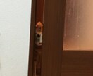 何でもLINE感覚で、お話し聞きます 相談・悩み・恋話しなんでもOK イメージ2