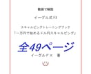 一万円で始めるドル円スキャルピング手法　公開します 動画42本で解説するスキャルピントレーニングブック イメージ2