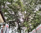 営業、テレアポの愚痴　その他もろもろお聞きします あなたのモヤモヤ　一緒に発散しましょう！ イメージ1