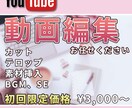 初回限定価格☆Youtube向けの動画編集します 様々なジャンルにも対応可能です イメージ1