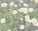 ココナラ初心者の方 サービス文章を魅力的に整えます 読みたくなる！わかりやすい！「購入にあたってのお願い」も！ イメージ9