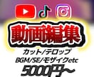 YouTube・SNS動画を高品質に編集します YouTube/ショート/TikTok/広告他対応 イメージ1