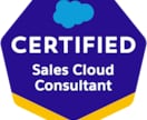 Salesforceの設定や活用のお手伝いします Salesforce活用定着化＆初心者支援のプロがサポート！ イメージ1