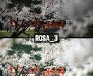 ROSA｜Lightroomプリセット販売します スマホで撮影した写真、ワンタッチで大変身！ イメージ10