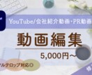 YouTube/会社紹介動画/PR動画承ります 主に女性向け動画を中心に、その他ジャンルも幅広く承ります。 イメージ1