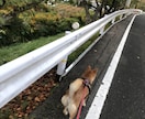 何気ない日々のお話お聞きします ひなたぼっこで何気ないお話しをしましょう⭐︎ イメージ2