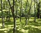 心が疲れてしまった方の、心の負担を軽くします 資格と経験を活かして、ご相談者の心の声に耳を傾けます。 イメージ1
