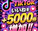 TikTokいいね5000件増やします 【最安値を維持】圧倒的な安さ×最高品質×最速対応‼ イメージ1