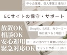 ネットショップの保守代行・運用サポートします ネットが苦手な社長の右腕に！更新・トラブル対応いたします イメージ1