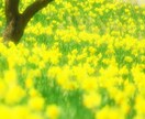 大切な方が亡くなって辛い気持ちお聞きします もう会えないと思うと寂しくて心が張り裂けそうなあなたへ イメージ7