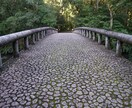 様々なジャンルの写真の提供いたします ご依頼があれば希望の写真も撮影しちゃいます!!! イメージ7
