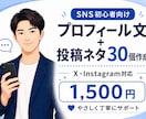 SNSプロフィール文と投稿ネタを作ります SNS初心者向けに伝わる文章を作成します イメージ1