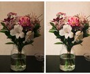 スマホで撮った写真をオシャレに！編集します 何気ない写真やとっておきの写真を編集！育休中カメラマンです イメージ2