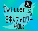Twitter日本人フォロワー300人増加します Twitter（X）フォロワー他にいいねRTインプ御座います イメージ1