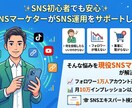SNS初心者でも安心 現役マーケターが教えます SNS初心者の方でも安心して運用できるようサポートします イメージ1