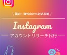 Instagramをリサーチします 副業・マーケ用ターゲット調査OK！リサーチ代行 イメージ1