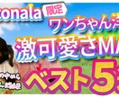 修正無制限！あなたの希望通りにデザインいたします 気が済むまでにデザイン致します。お気軽にお申し付け下さい イメージ1
