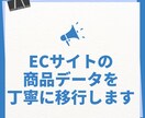 ECサイトのデータ移行作業をサポートします 要望を丁寧に聞き取りお客様の声を正確に反映します イメージ1