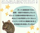 あなたの代わりに売れるコンテンツ作成します 面倒な商品作りは丸投げ！AI活用のプロ品質作成代行！ イメージ9