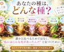 生年月日からあなたの「光の種」を見つけます マヤ歴で生まれ持った本質・魅力をやさしく読み解きます。 イメージ4
